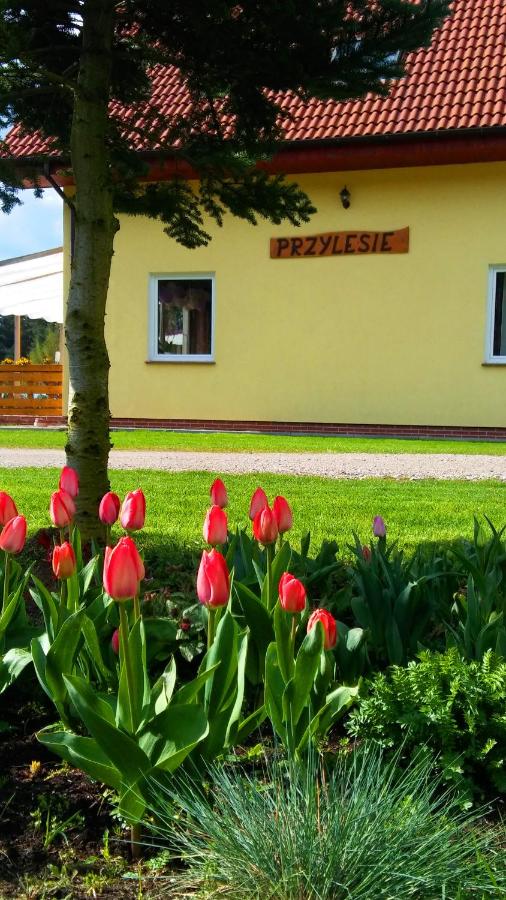 Pokoje Gościnne Przylesie - B&B