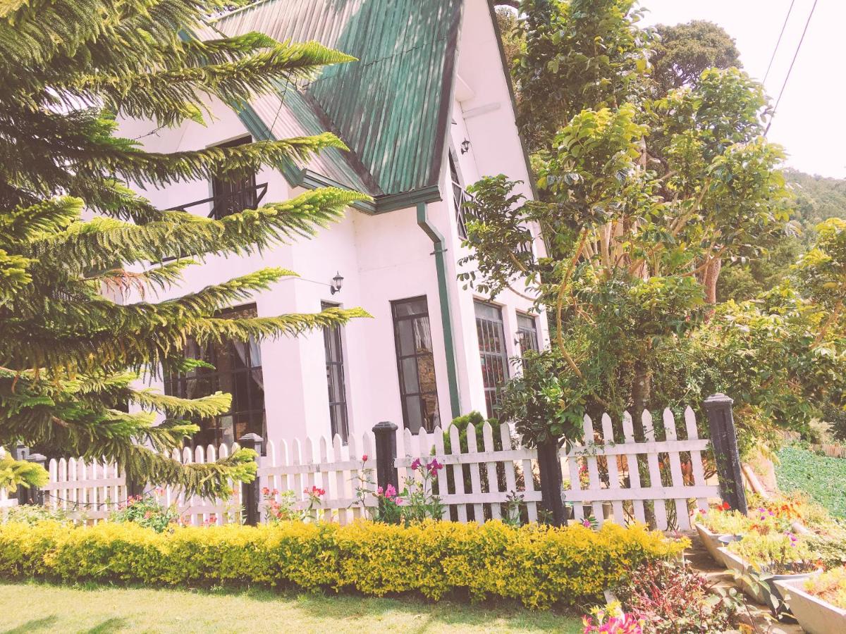 Sherwood Cottage - B&B