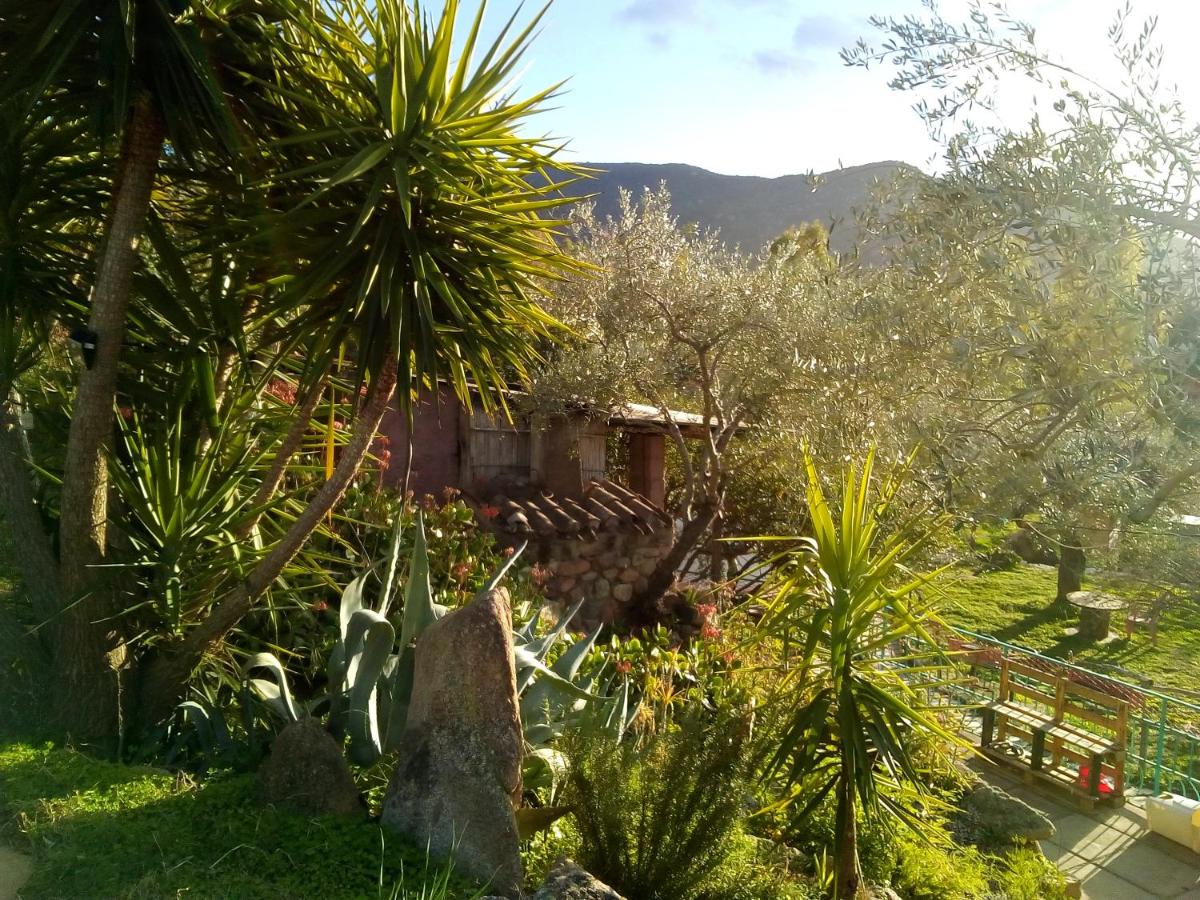 S'Imbragu Farm B&B - B&B Tortolì