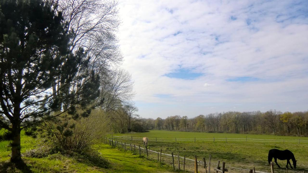 Double Room with Garden View