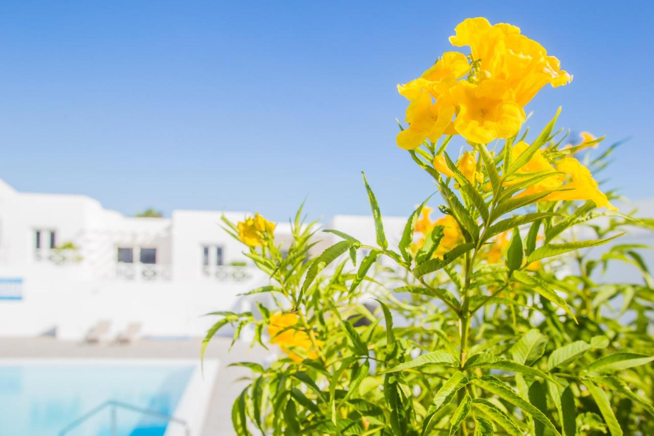 Appartement avec Terrasse