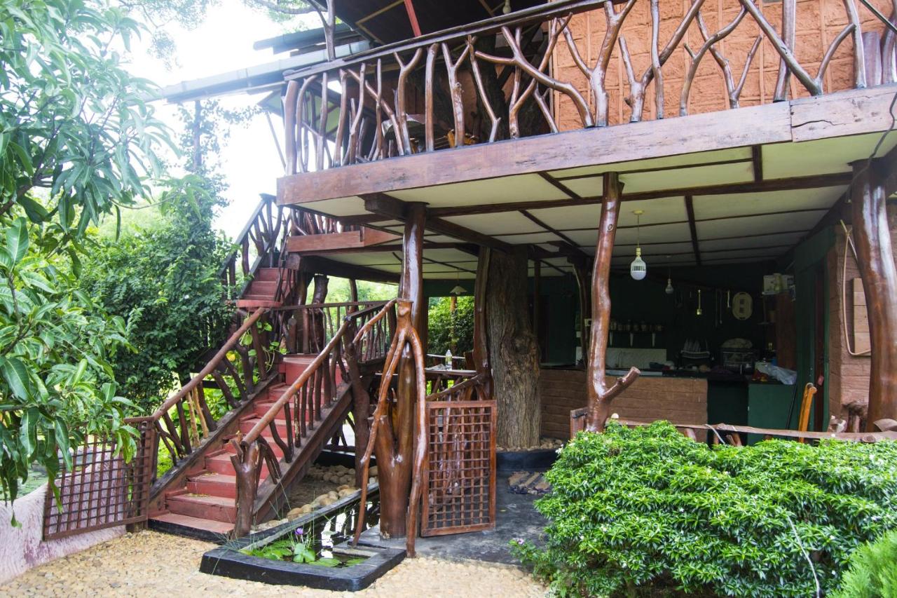 Anushka Nera Nature House - B&B