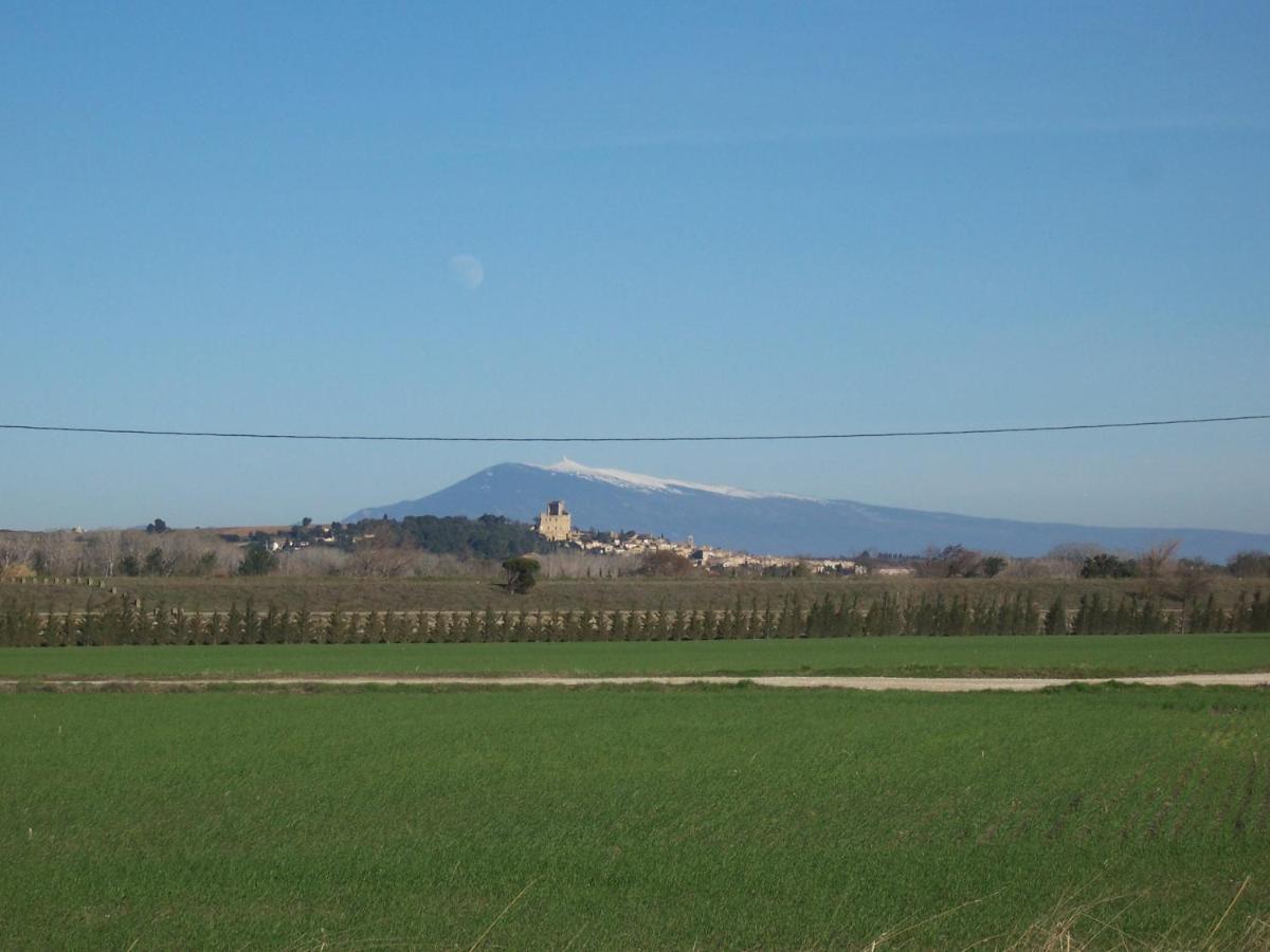 Villa Lou Christelle - B&B