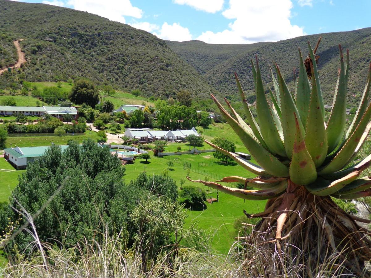 B&B Oudtshoorn - De Oude Meul Country Lodge & Restaurant - Bed and Breakfast Oudtshoorn