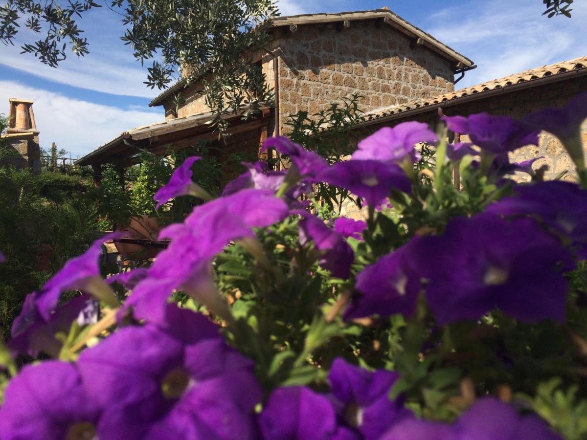 Villa I Calanchi Di Civita - B&B Bagnoregio