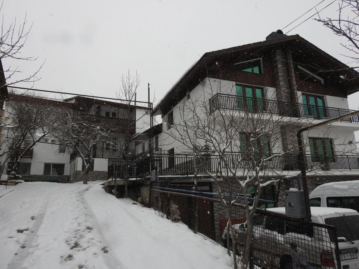 Edelweiss - B&B Bak’uriani