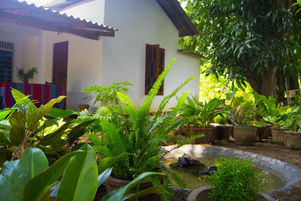 Sigiri Star Homestay - B&B