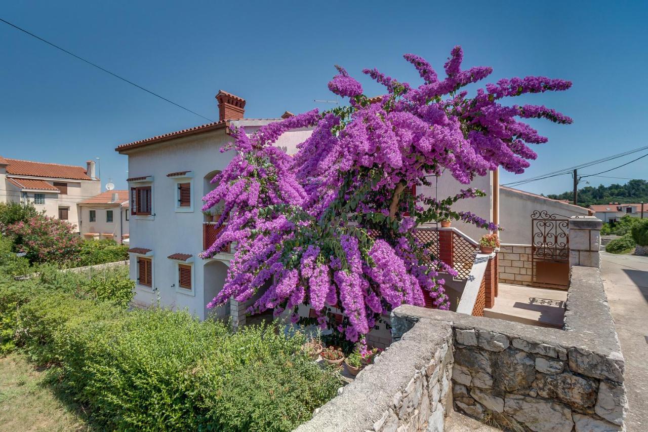 Bugenvilia - B&B