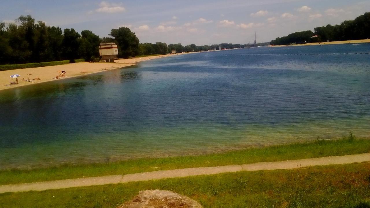 Jelena Apartment - B&B Belgrado