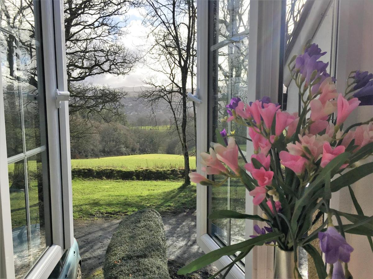 B&B Okehampton - Meadow Sweet Cottage - Bed and Breakfast Okehampton