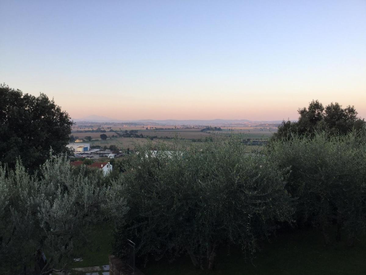 Agriturismo Borgo tra gli Olivi - Ferienwohnung Castiglion Fiorentino