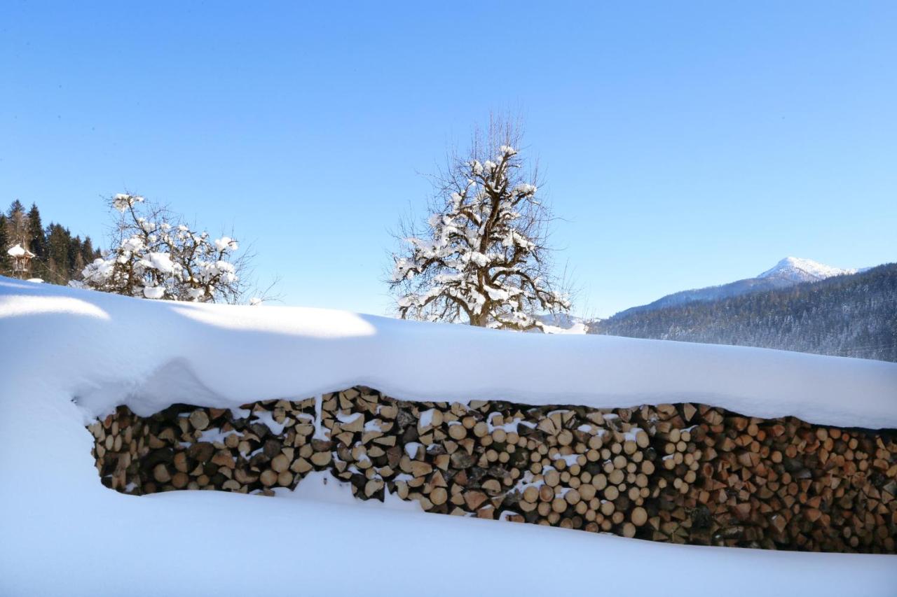 Moabauer - Ferienwohnung Wagrain