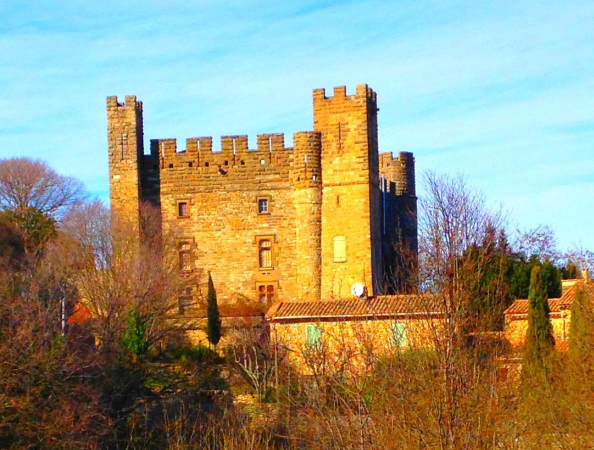 Appartement spacieux avec deux chambres au Château - Bed and Breakfast