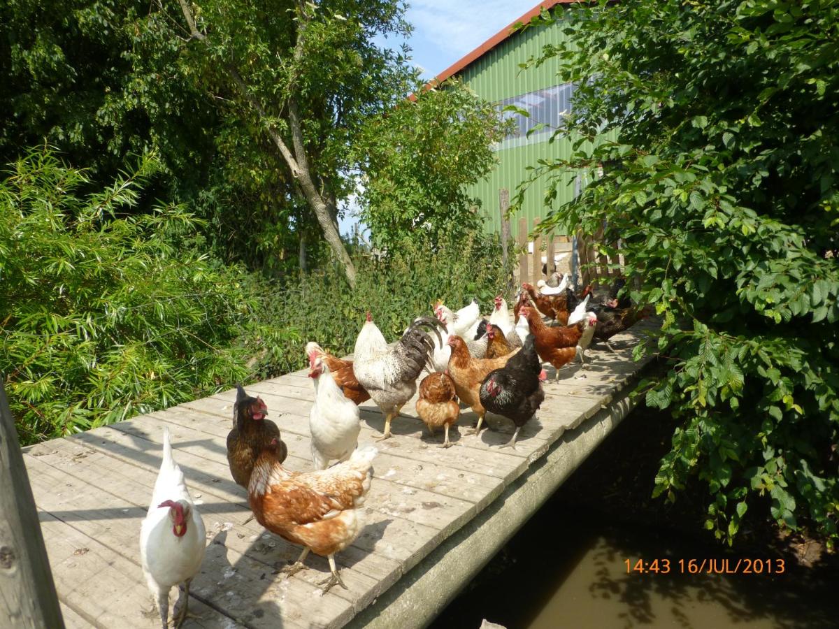 Ferienhof Lorenzen - B&B