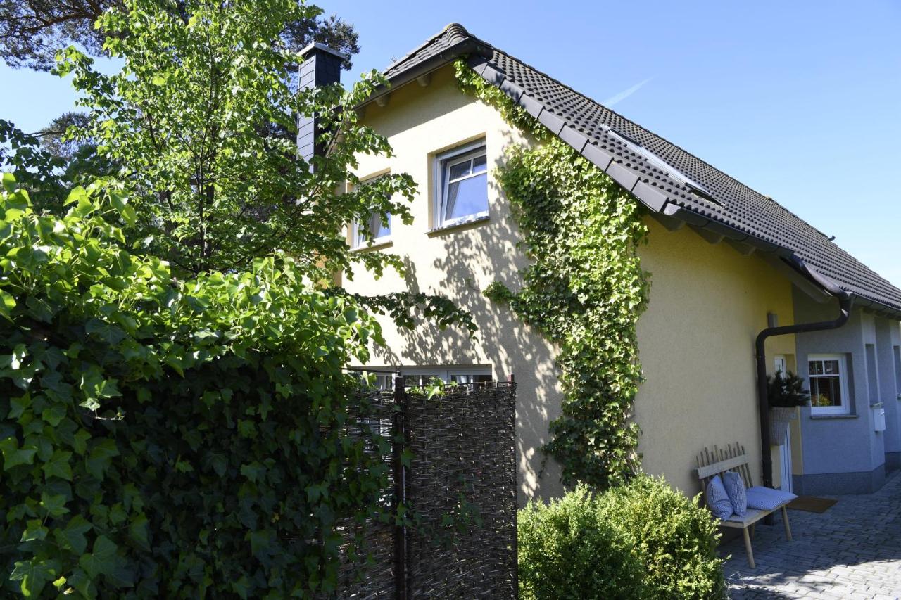 Haus Baabinchen - Ferienhaus mit Kamin und Terrasse - B&B Ostseebad Baabe
