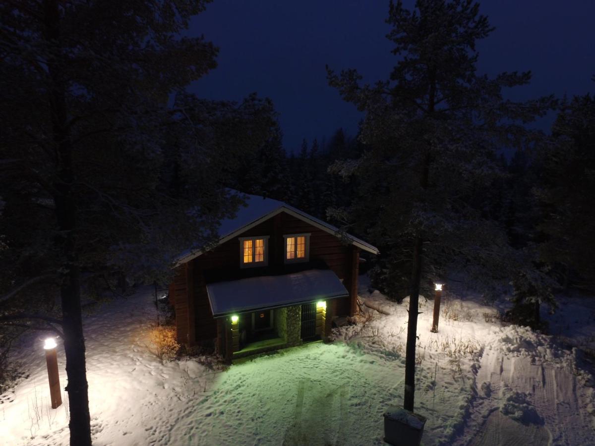 Villa Levinkajo - B&B