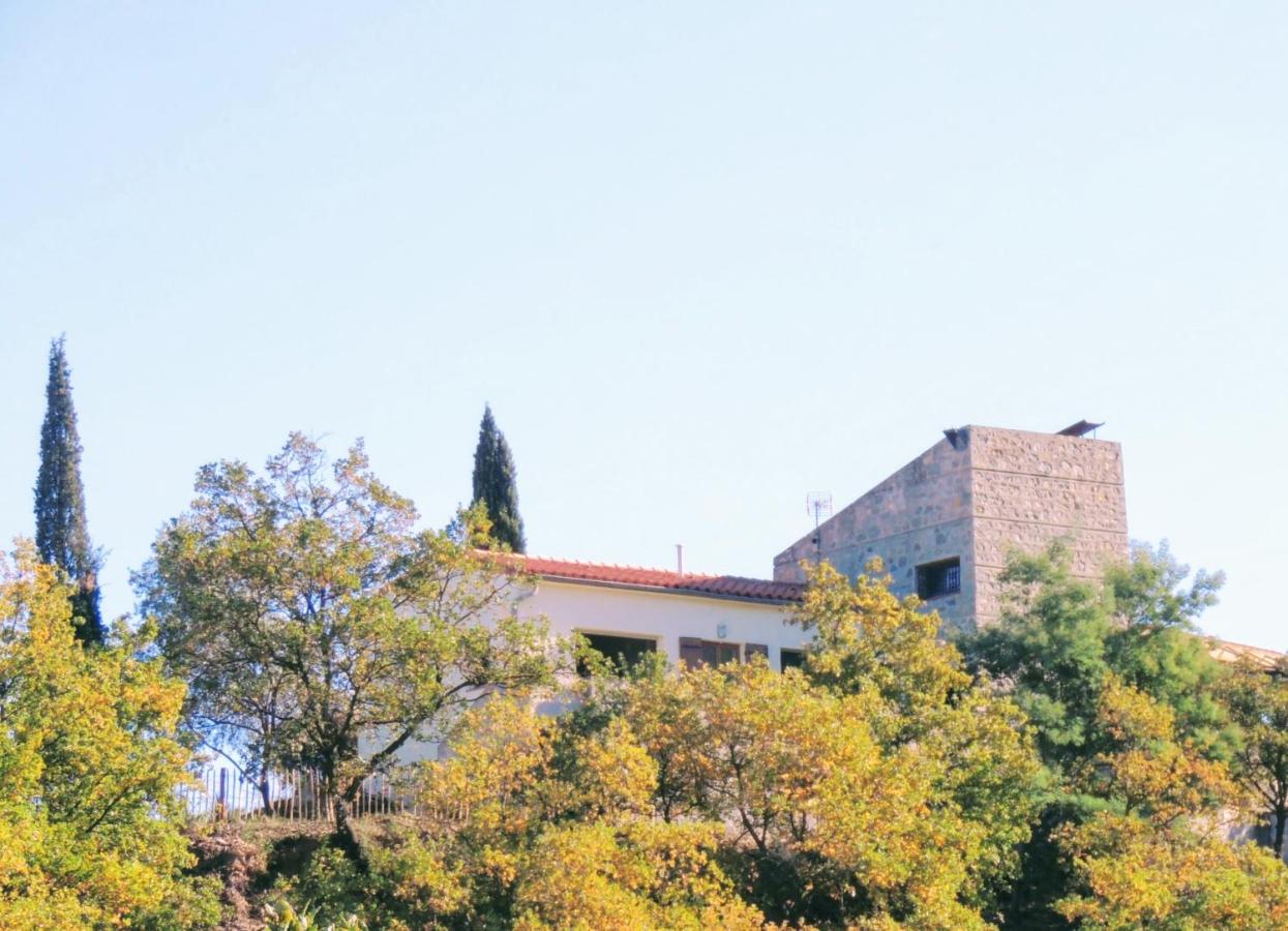 Mas Les Romarins - B&B