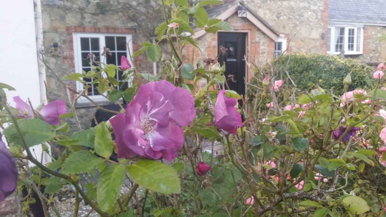 Kingsmede Bed & Breakfast - B&B Ventnor