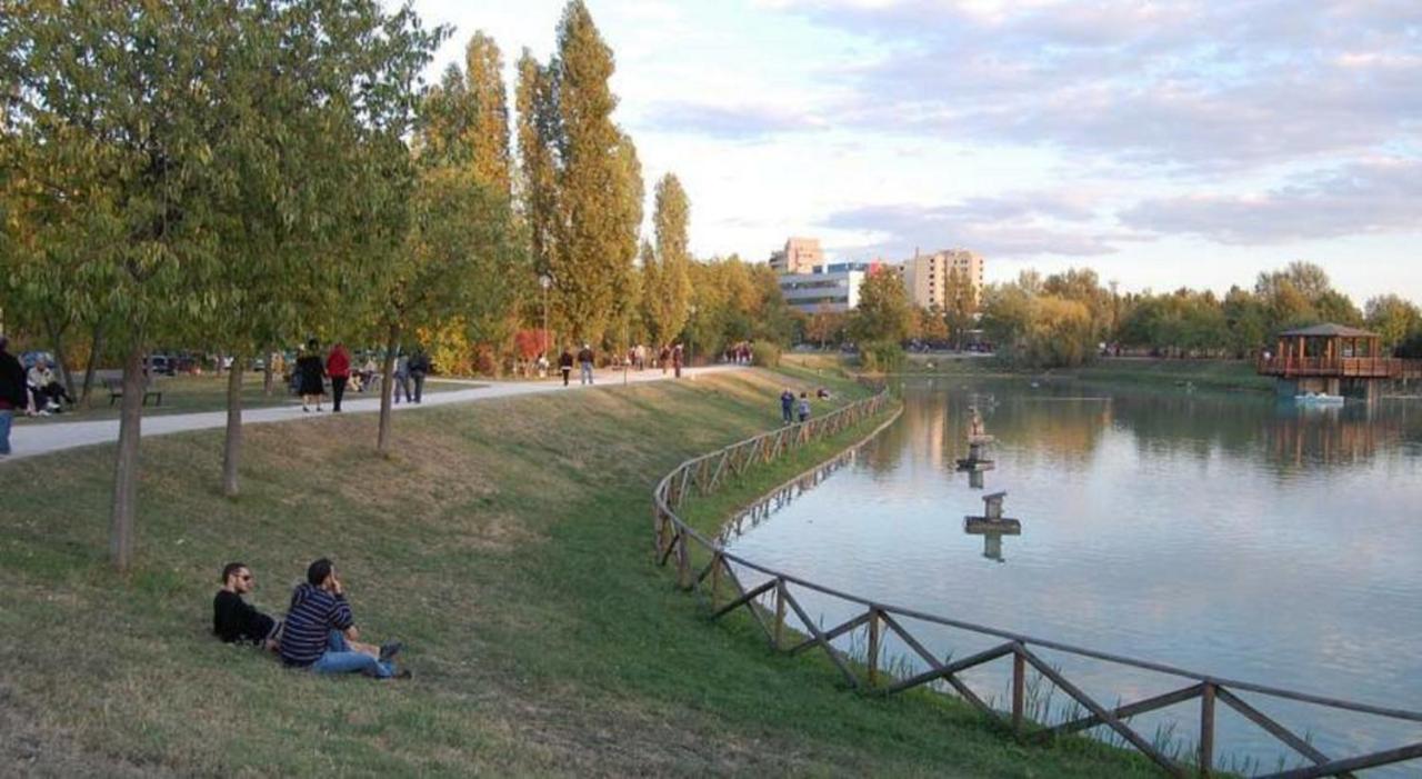 Light & Colours Apartment - B&B Bologna