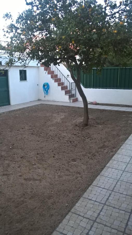 Casa do Limoeiro - B&B