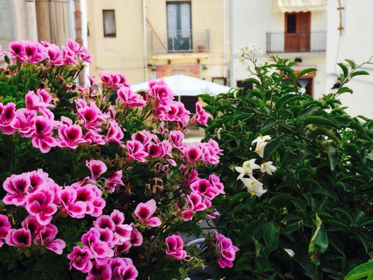 Ai Dammusi Rooms - B&B