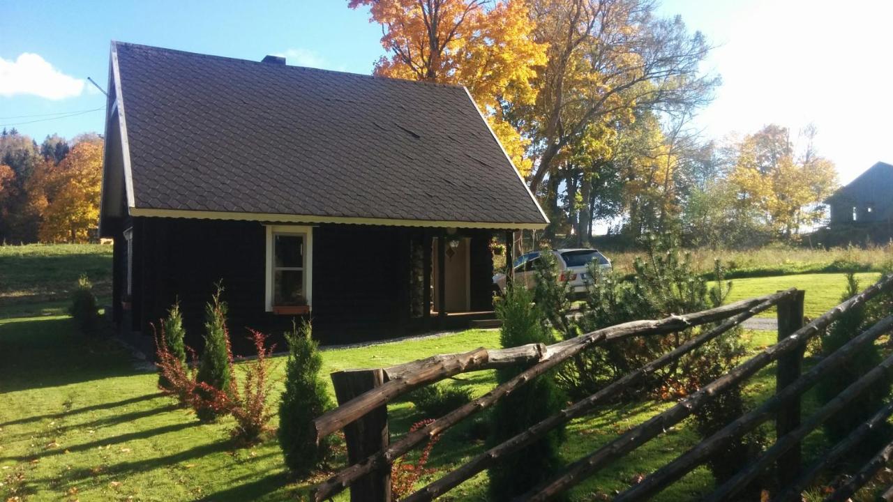 Safari House - Bed and Breakfast