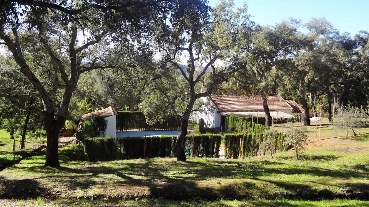 Casa Rural La Gallega - B&B