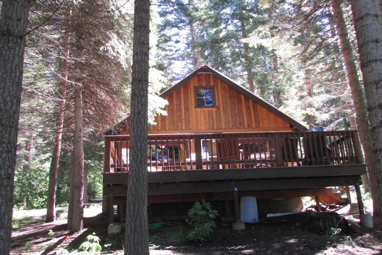 Beth's Lakeside Cabin - B&B McCall