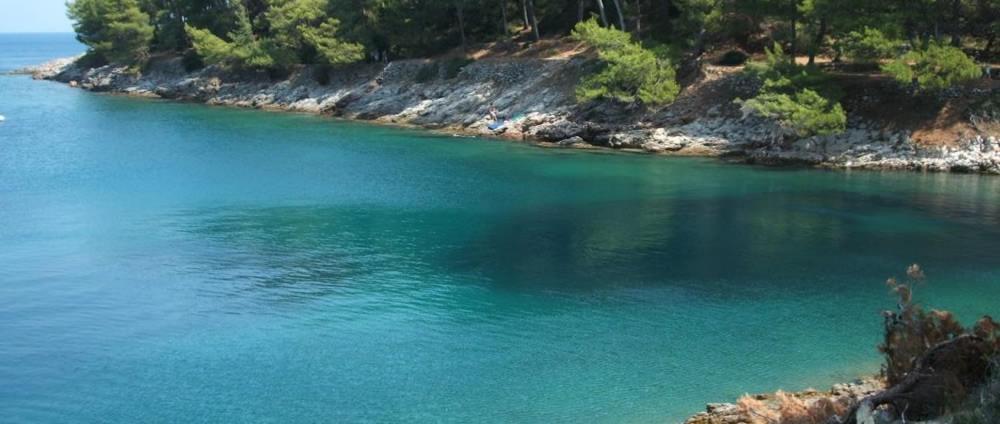 Apartment - Erdgeschoss