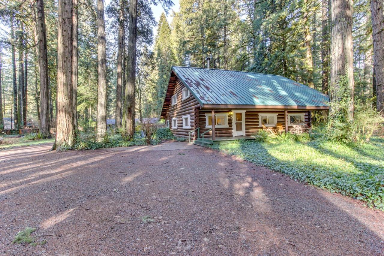 Renee's Log House - B&B McKenzie Bridge