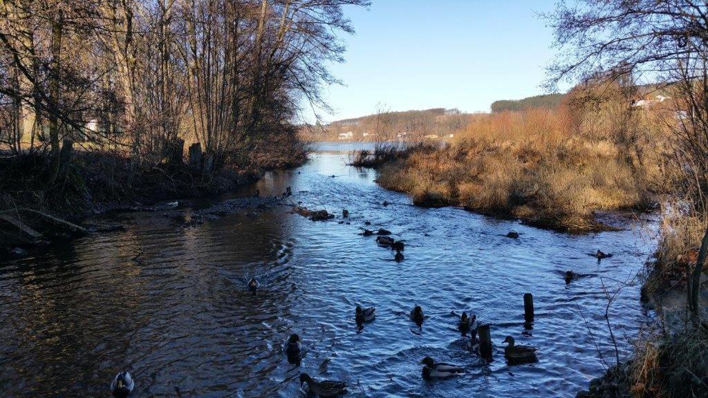 Appartamento con Vista Giardino