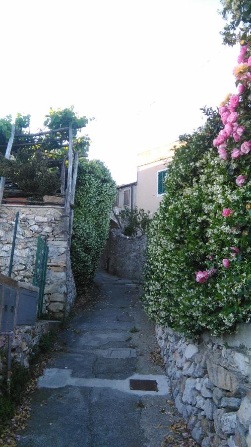 Sant’Antonio - Ferienwohnung