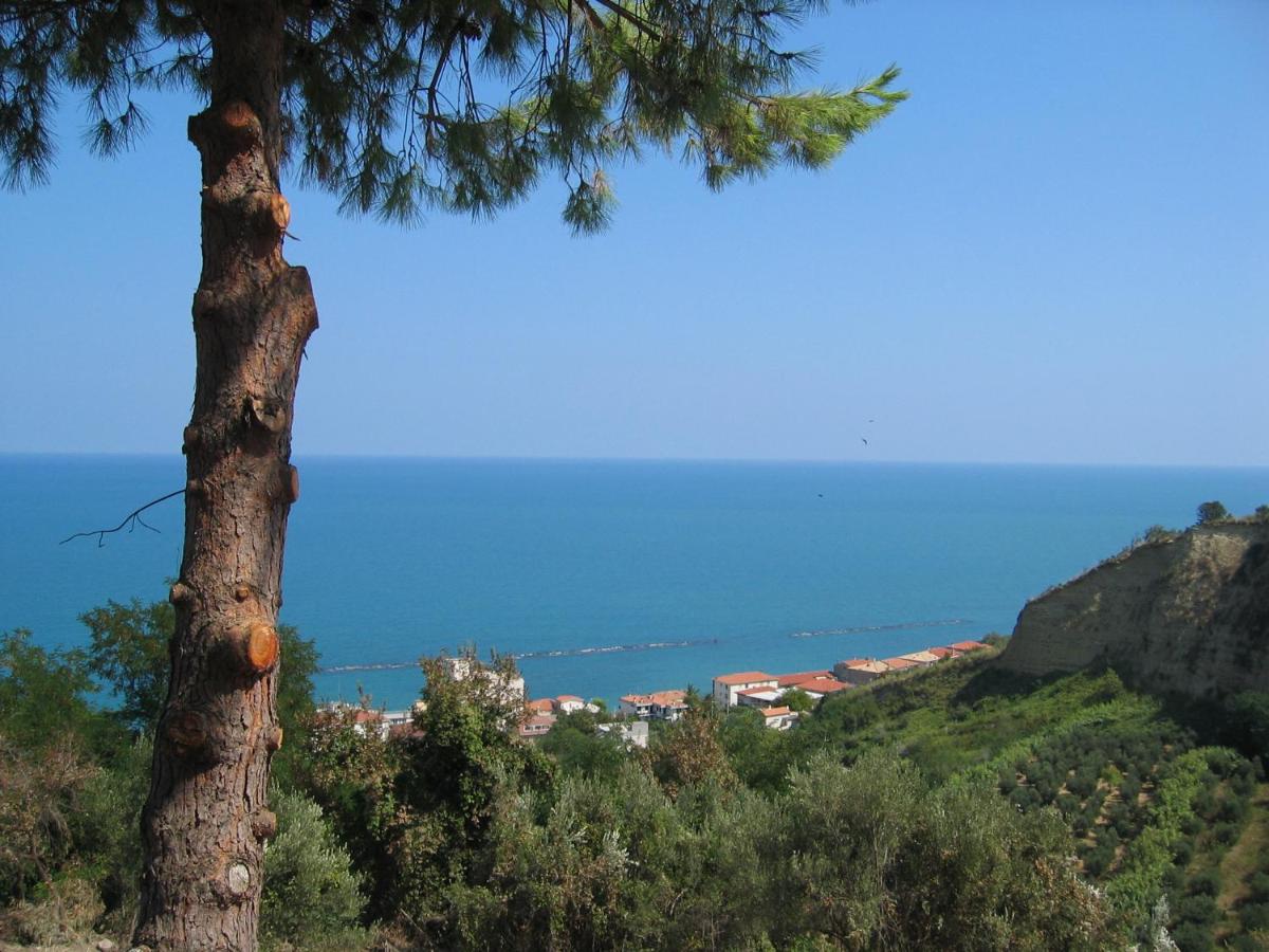 B&B San Vito Chietino - Sea view apartment 10 minute walk to the sea - Bed and Breakfast San Vito Chietino