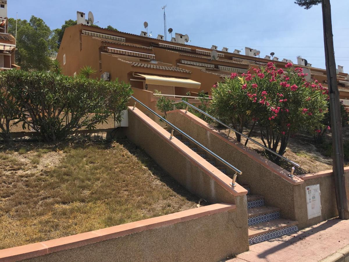 Appartement Pinogrande - Ferienwohnung