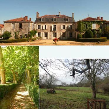 B&B Champagne-Mouton - Eco Logis de Chantegrolle - Bed and Breakfast Champagne-Mouton