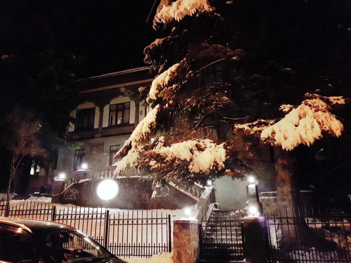 Vila Acvila - Ferienwohnung Sinaia