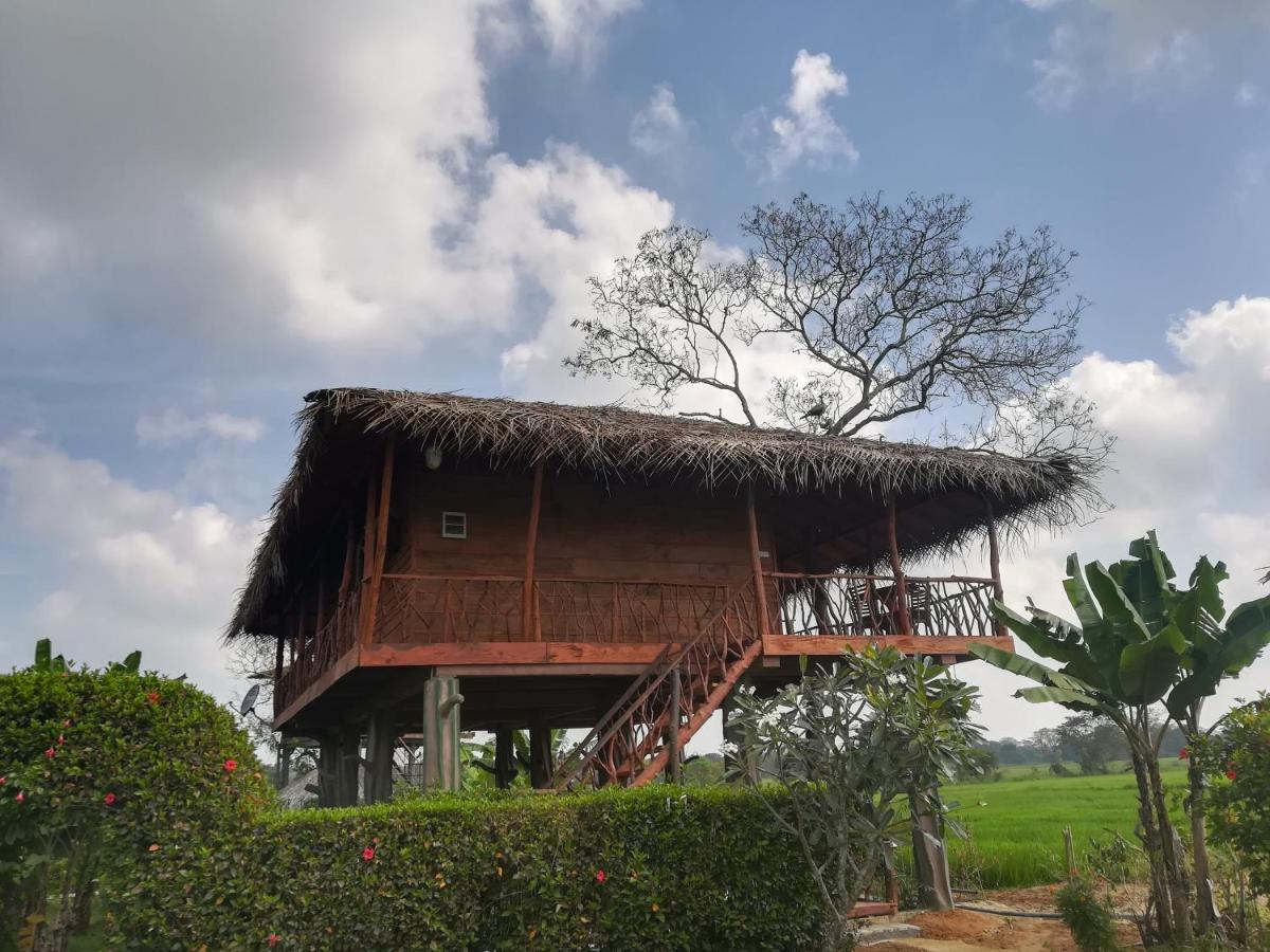 PANORAMIC Canopy Family Treehouse