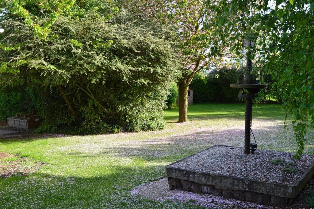 Cottage (7 Adults)
