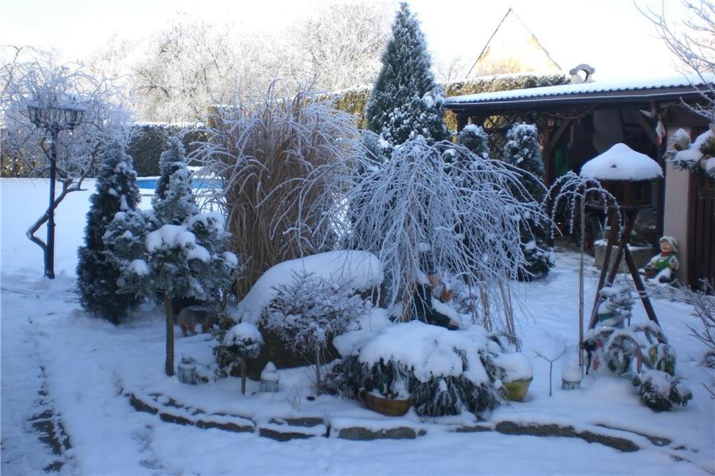 Apartman JITKA Protivin - B&B Protivín