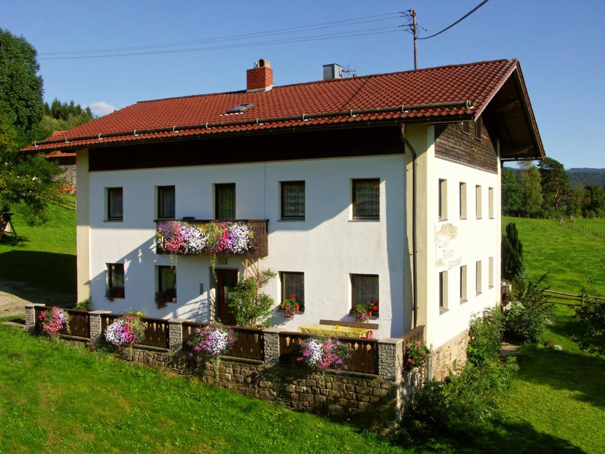 B&B Lohberg - Ferienwohnungen am Arber - Bed and Breakfast Lohberg