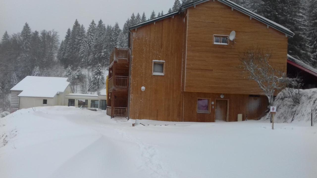 Les feignes cerfdoré - B&B