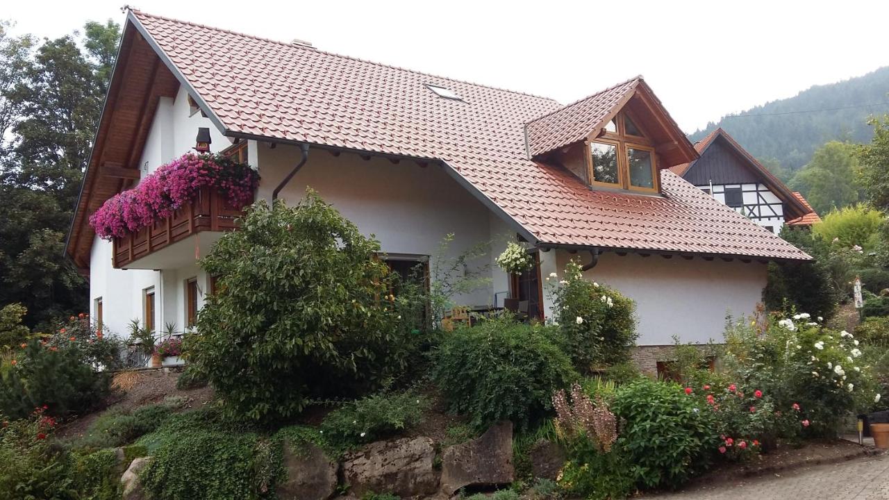 Ferien im Schwarzwald - Ferienwohnung Seebach