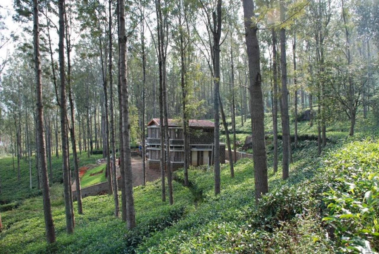 Relaxing 2 B/R Estate House, Deenaty, Tamil Nadu - B&B