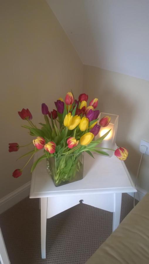 Rosebank B&B - B&B Etchingham