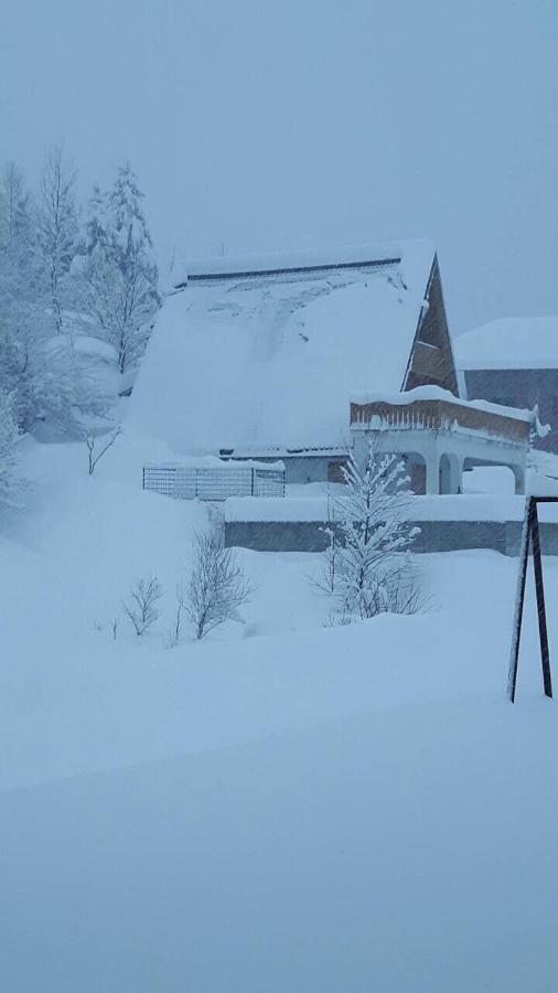House with Pool and Sauna - B&B