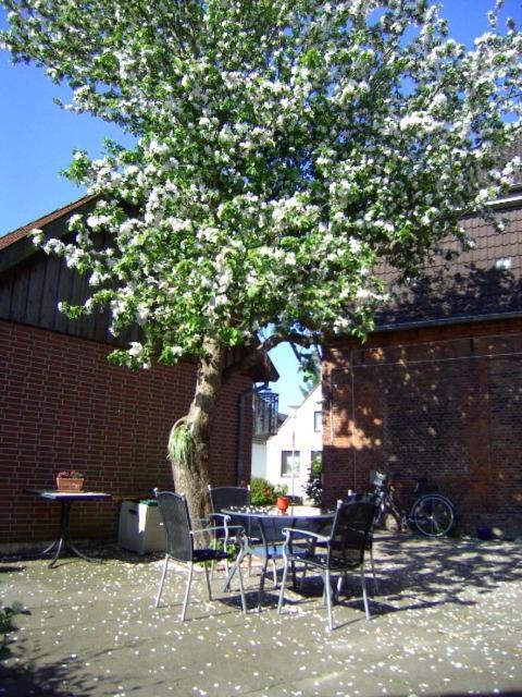 Haus Gezeiten - Bed and Breakfast