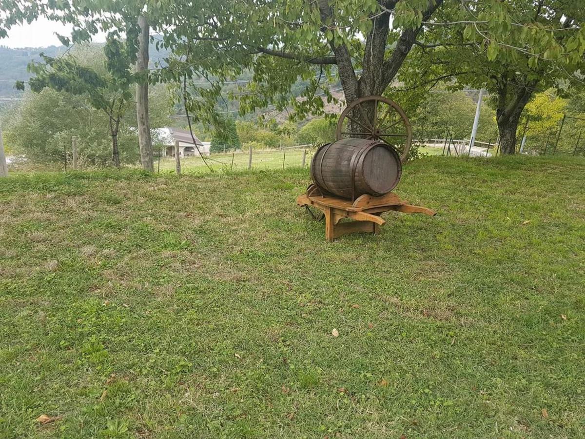 Agriturismo Pietro Falcone - Bed and Breakfast