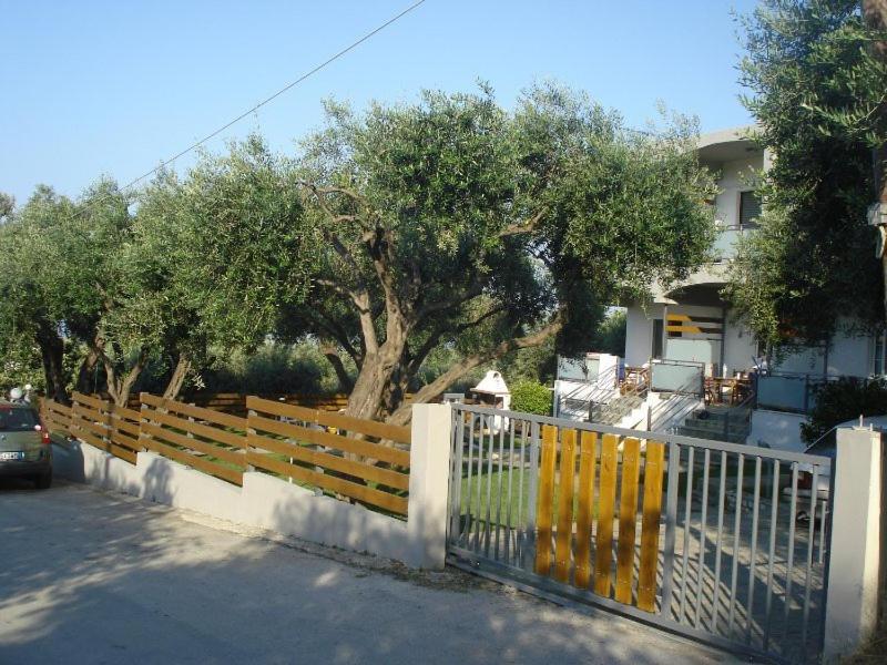 One-Bedroom Apartment - Ground Floor