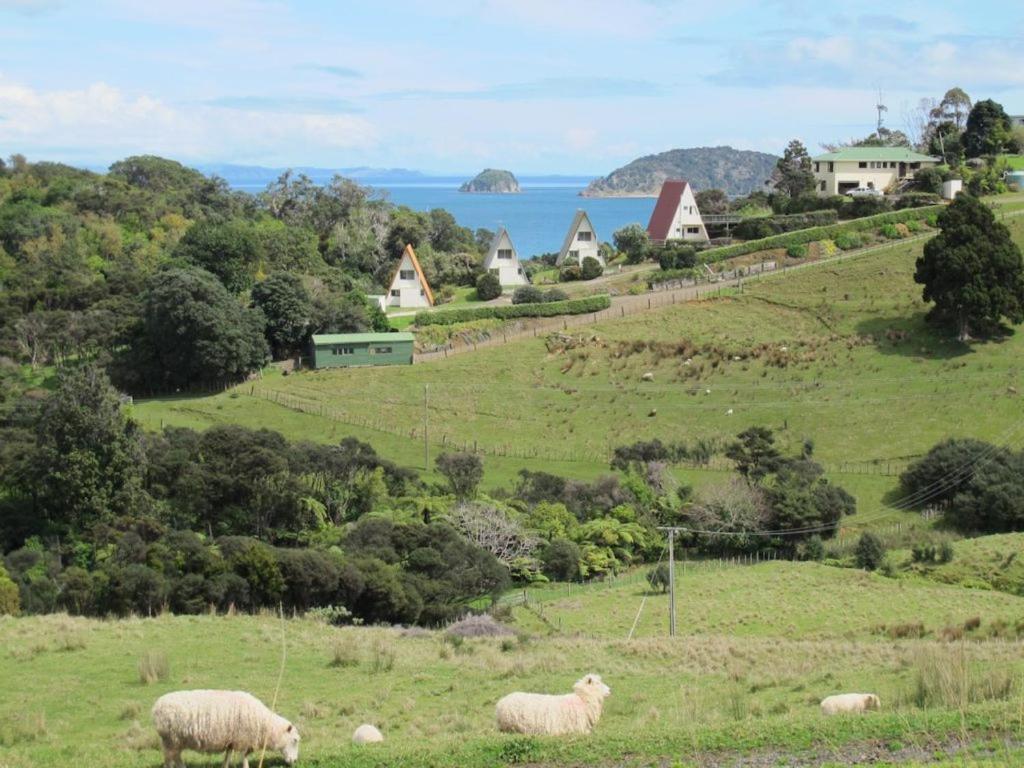 Pohutukawa Coastal Chalets - Chambres d’hôtes Coromandel