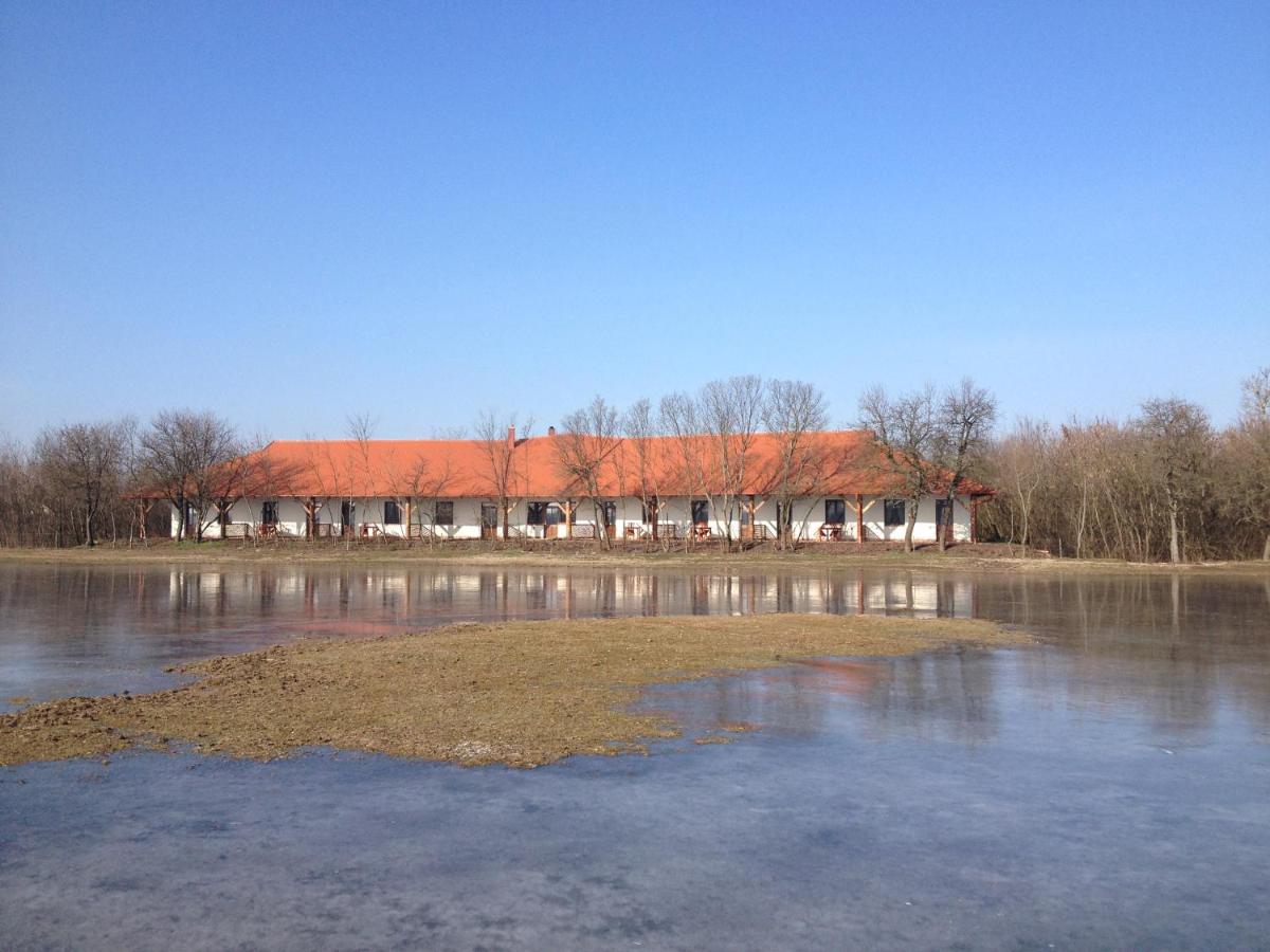 Bibic Nature Lodge - Chambres d’hôtes